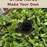 Fresh parsley spread on round dehydrator trays, with the title Stop Buying Dried Herbs