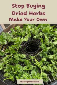 Fresh parsley spread on round dehydrator trays, with the title Stop Buying Dried Herbs