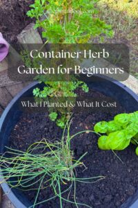 Herb Garden with chives, basil and parsley in a container.